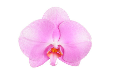 Similar image 6652172