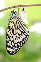 Similar image 6652277