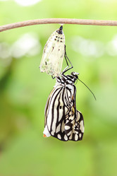 Similar image 6652286