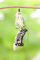 Similar image 6652300