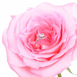 Similar image 6652321