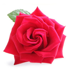 Similar image 6652538