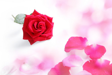 Similar image 6652539