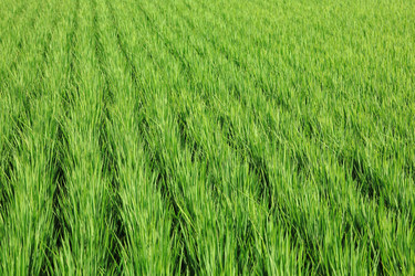 Similar image 6652834