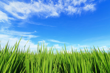 Similar image 6652836