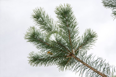 Similar image 6653011