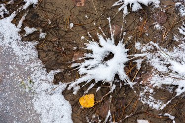 Similar image 6653015