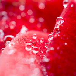 Similar image 6653033