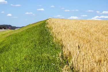 Similar image 6653035