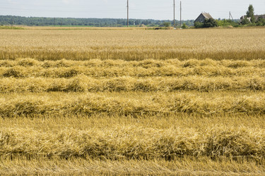 Similar image 6653036