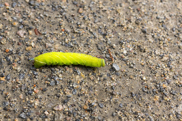 Similar image 6653037