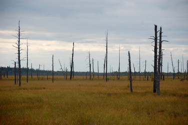 Similar image 6653040