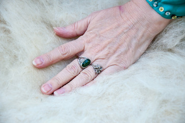 Similar image 6653051