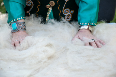 Similar image 6653055