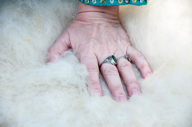 Similar image 6653056