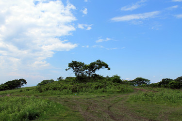 Similar image 6653076