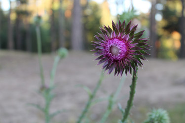 Similar image 6653079