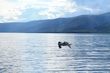 Similar image 6653082