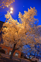 Similar image 6653095