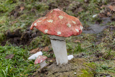 Similar image 6653192