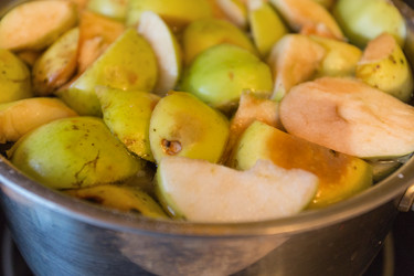 Similar image 6653209