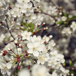 Similar image 6653298