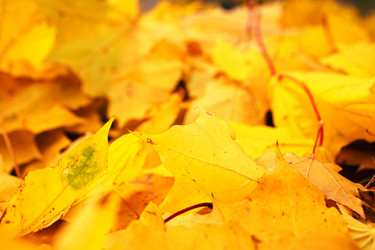 Similar image 6653317