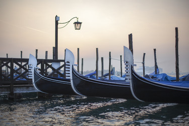 Similar image 6653404