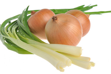 Similar image 6653477