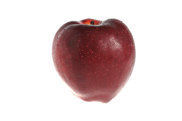 Similar image 6653515