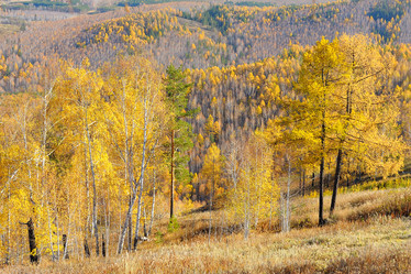 Similar image 6653541