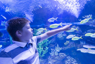 Similar image 6653627