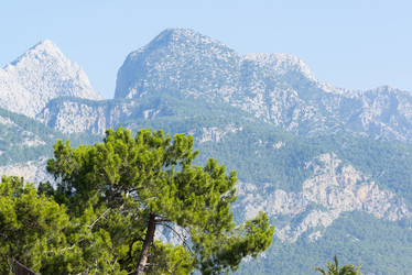 Similar image 6653639