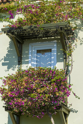 Similar image 6653653