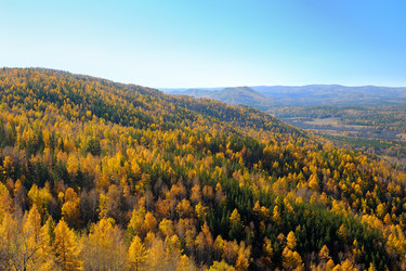 Similar image 6653663