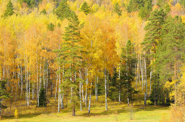 Similar image 6653664