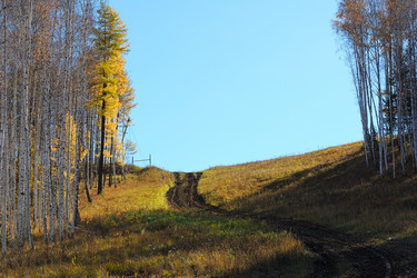 Similar image 6653674