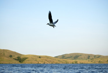 Similar image 6653695