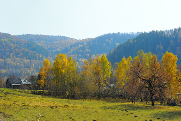 Similar image 6653698