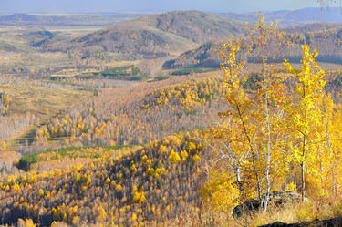 Similar image 6653706