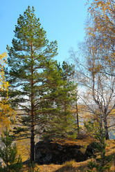 Similar image 6653707