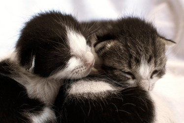 Similar image 6653782