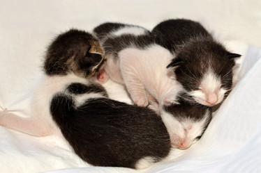 Similar image 6653783