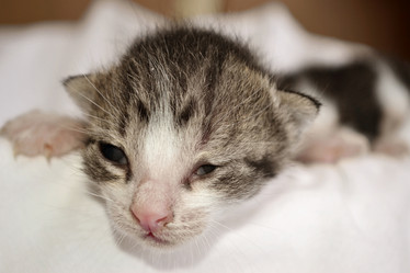 Similar image 6653784