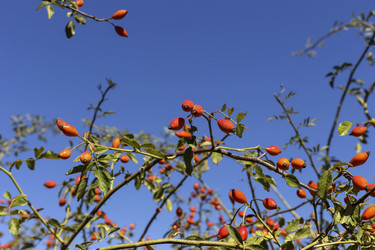 Similar image 6653923