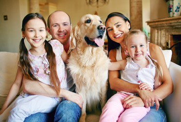 Similar image 6653953