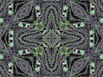 Similar image 6653958