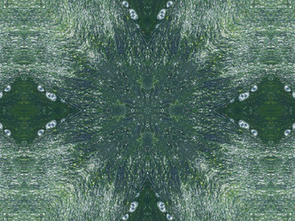 Similar image 6653995