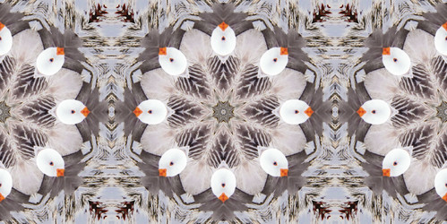 Similar image 6654039