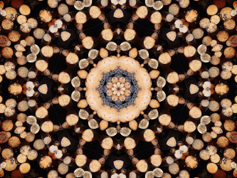 Similar image 6654045